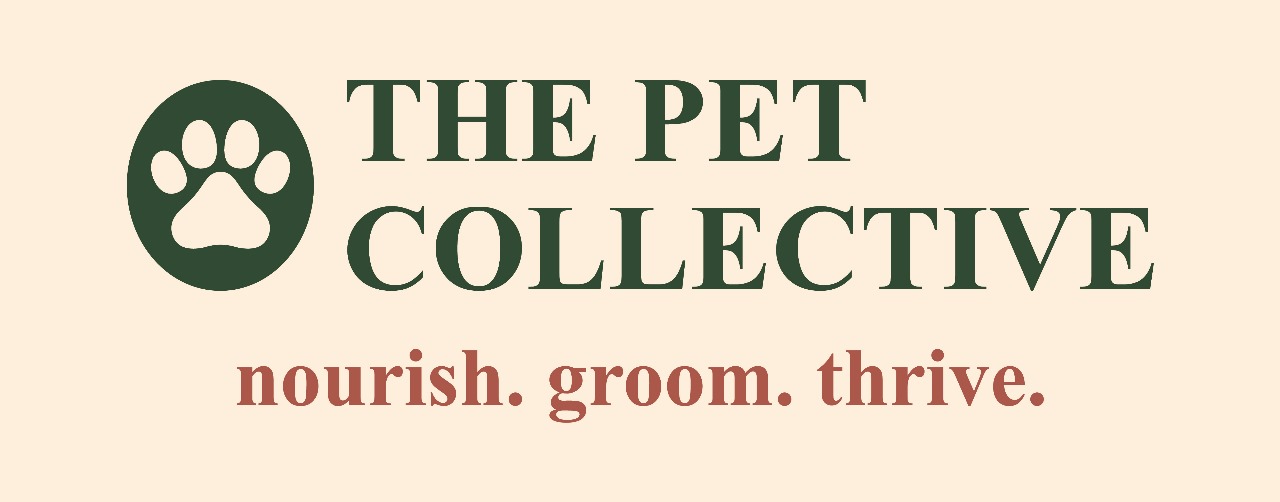 The Pet Collective Interior